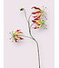 gloriosa | fuchsia | 80 centimeter | Per stuk te bestellen