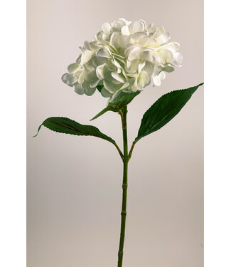 Silk Flowers by JJ hortensia | wit | 67 centimeter | Per stuk