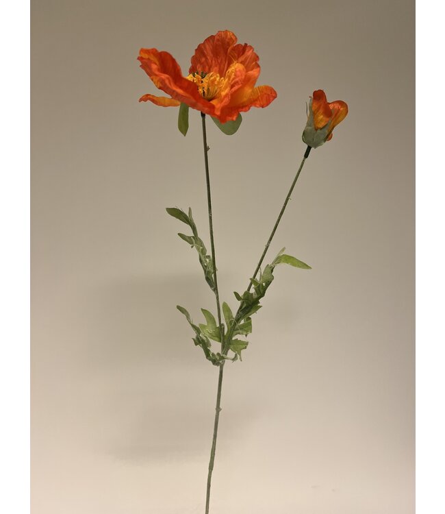 Orangefarbene Mohn-Seidenblume | Länge 65 Zentimeter | Stückweise bestellt