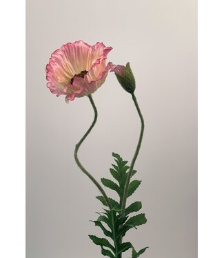 Silk Flowers by JJ klaproos | roze | 65 centimeter | Per stuk