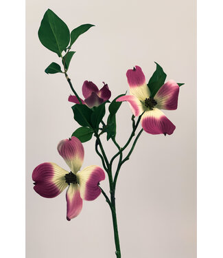 Silk Flowers by JJ kornoelje | roze | 45 centimeter | Per stuk