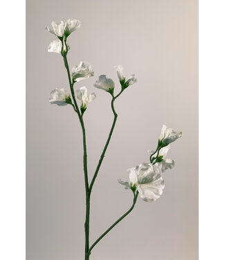 Silk Flowers by JJ lathyrus | wit | 64 centimeter | Per stuk