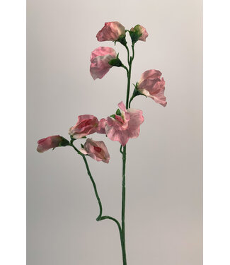 Silk Flowers by JJ lathyrus | roze | 64 centimeter | Per stuk