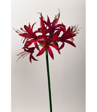 Silk Flowers by JJ nerine | roze | 67 centimeter | Per stuk