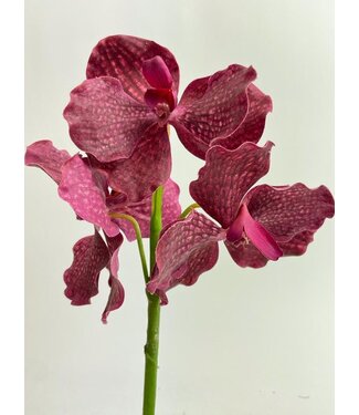 Silk Flowers by JJ vanda | roze | 25 centimeter | Per stuk