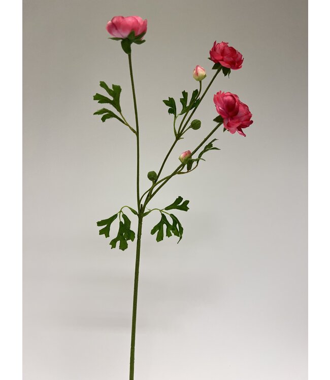 Roze ranonkel zijden bloem | Lengte 65 centimeter | Per stuk te bestellen