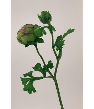 Silk Flowers by JJ ranonkel | groen/roze | 45 centimeter | Per stuk