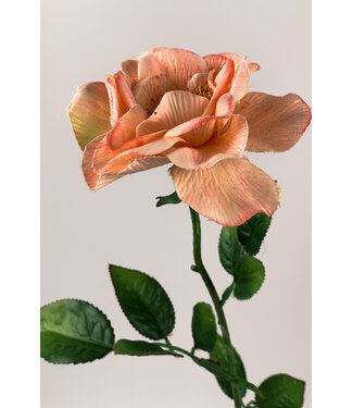 Silk Flowers by JJ Lachsfarbene Rose mit rosa Seidenblume | Länge 67 Zentimeter | Pro Stück