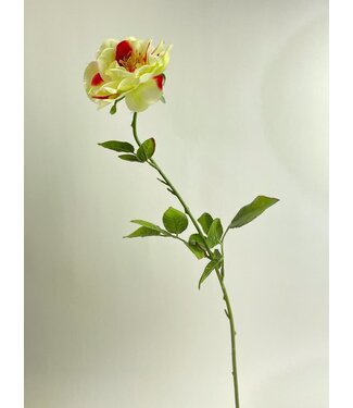 Silk Flowers by JJ Cremekleurige roos met rood zijden bloem | Lengte 67 centimeter | Per stuk