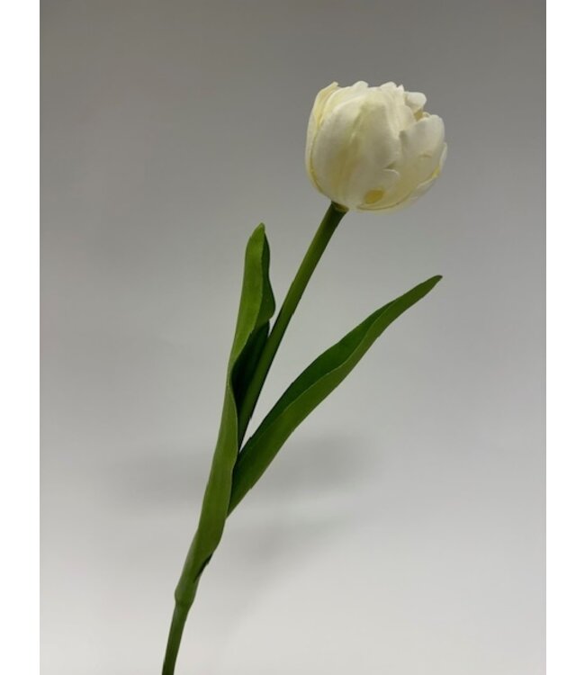 Witte tulp zijden bloem | Lengte 40 centimeter | Per stuk te bestellen