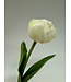 Witte tulp zijden bloem | Lengte 40 centimeter | Per stuk te bestellen