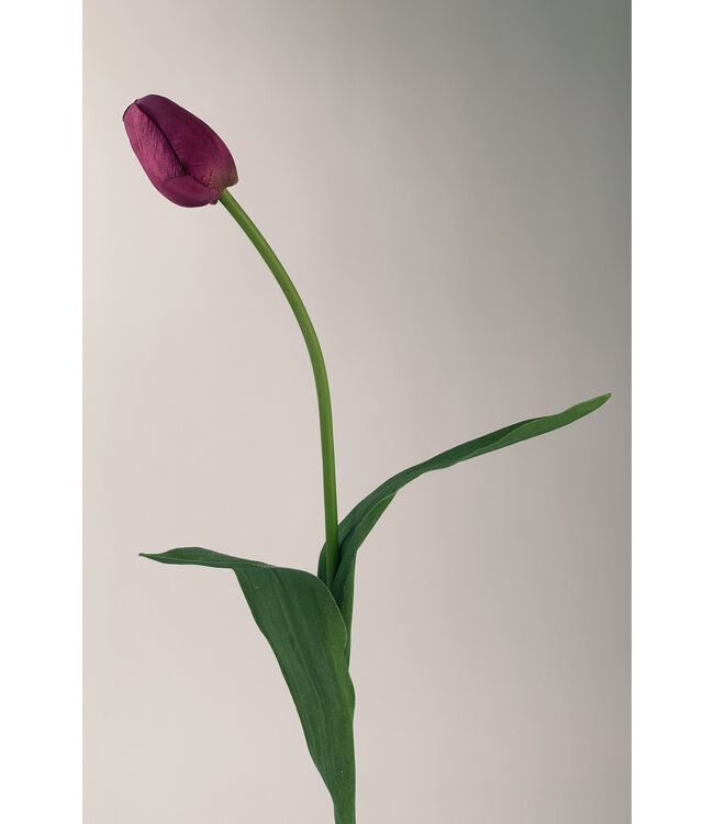 Fuchsiakleurige tulp zijden bloem | Lengte 60 centimeter | Per stuk te bestellen