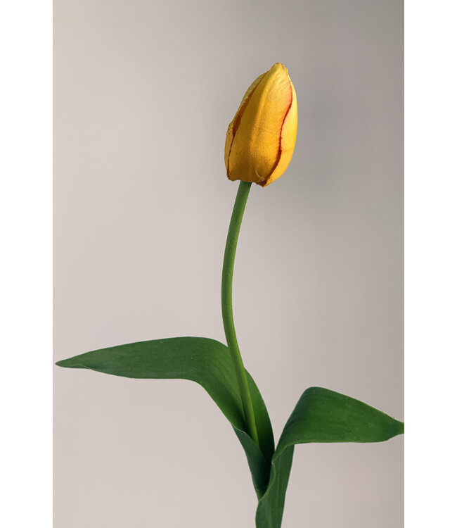 Gele tulp zijden bloem | Lengte 60 centimeter | Per stuk te bestellen