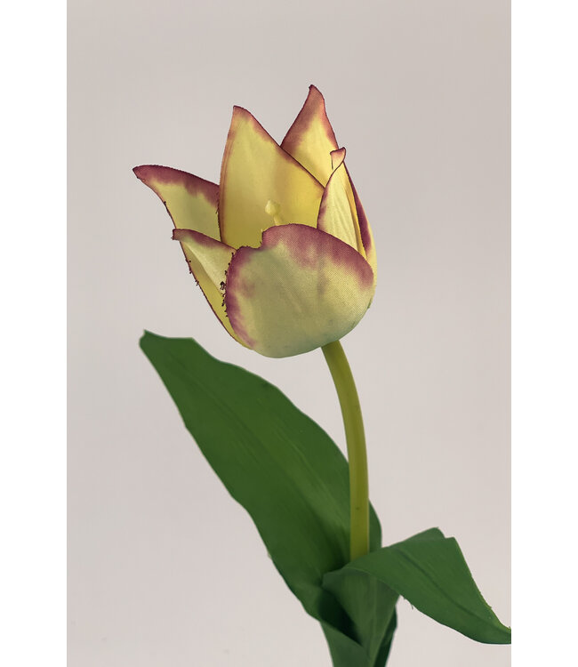 Gele tulp zijden bloem | Lengte 42 centimeter | Per stuk te bestellen