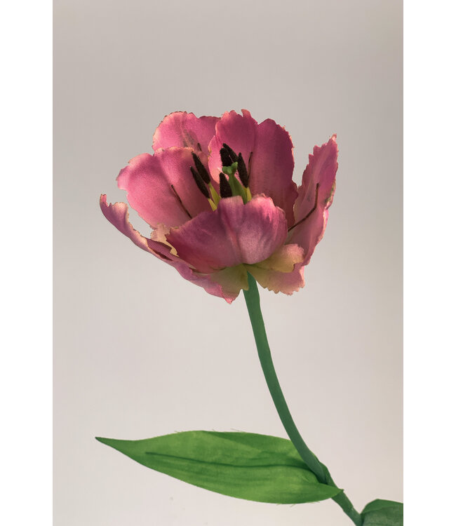 Roze parkiet tulp zijden bloem | Lengte 50 centimeter | Per stuk te bestellen