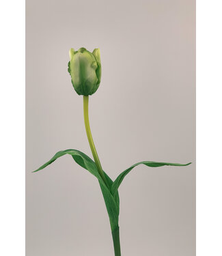 Silk Flowers by JJ tulp | groen | 48 centimeter | Per stuk