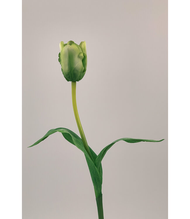 Groene tulp zijden bloem | Lengte 48 centimeter | Per stuk te bestellen