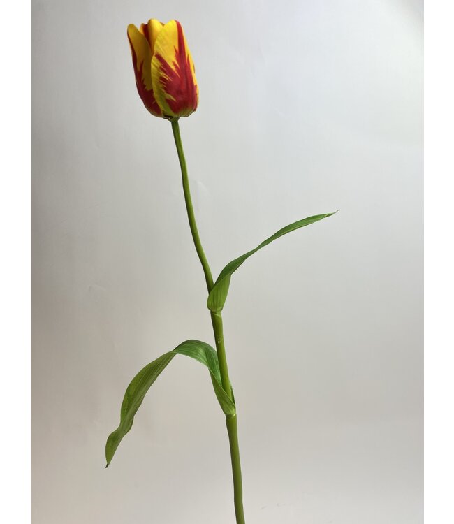 Geelrode tulp zijden bloem | Lengte 65 centimeter | Per stuk te bestellen