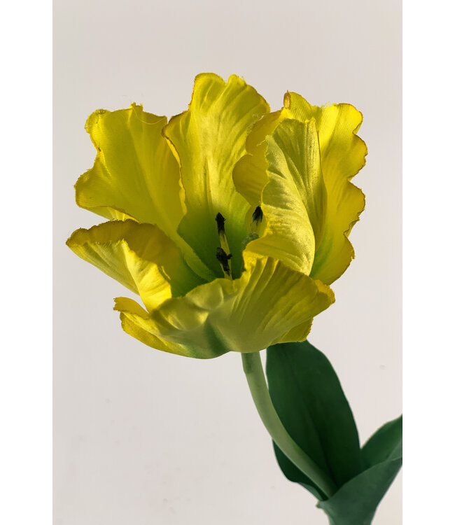 Gele tulp zijden bloem | Lengte 45 centimeter | Per stuk te bestellen