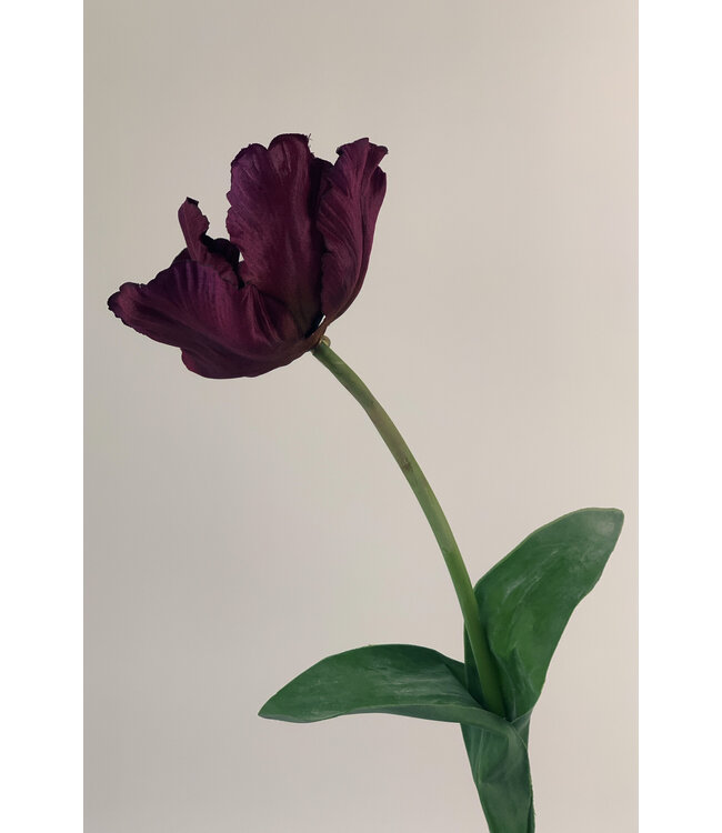 Paarse tulp zijden bloem | Lengte 45 centimeter | Per stuk te bestellen