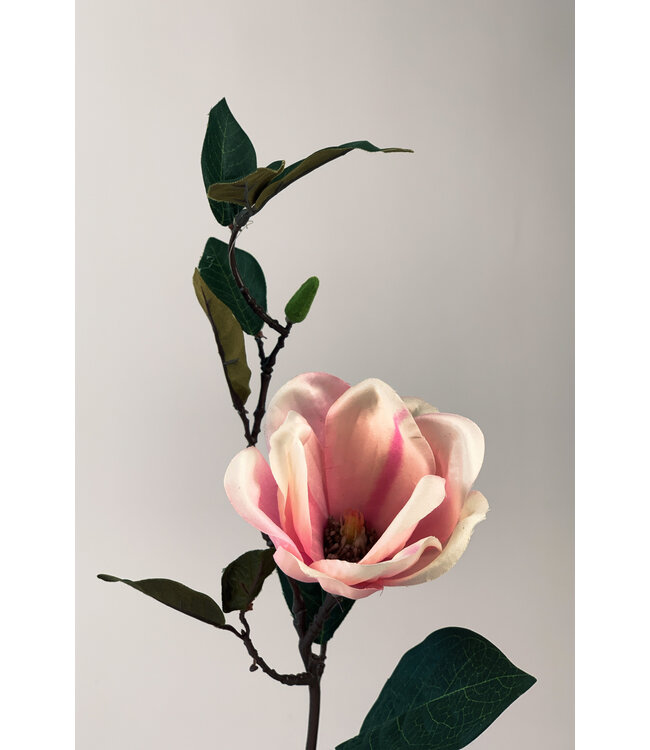 magnolia | roze | 35 centimeter | Per stuk te bestellen