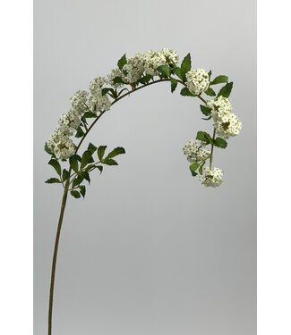 Silk Flowers by JJ spirea | wit | 100 centimeter | Per stuk