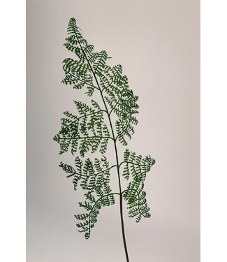 Silk Flowers by JJ asparagus tak | groen | 60 centimeter | Per stuk