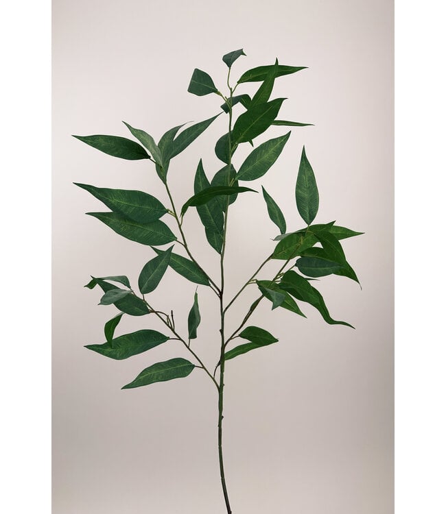 eucalyptus | groen | 93 centimeter | Per stuk te bestellen