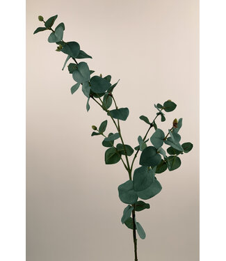 Silk Flowers by JJ eucalyptus tak | groen/grijs | 86 centimeter | Per stuk