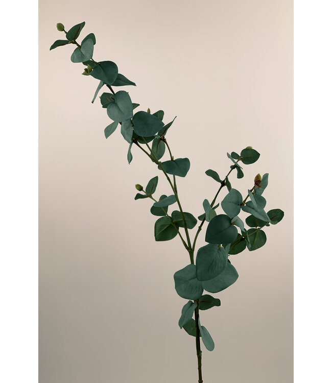 eucalyptus tak | groen/grijs | 86 centimeter | Per stuk te bestellen