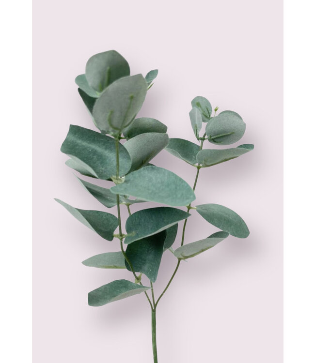 eucalyptus tak | groen/grijs | 28 centimeter | Per stuk te bestellen