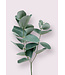 eucalyptus tak | groen/grijs | 28 centimeter | Per stuk te bestellen