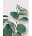 eucalyptus tak | groen/grijs | 28 centimeter | Per stuk te bestellen