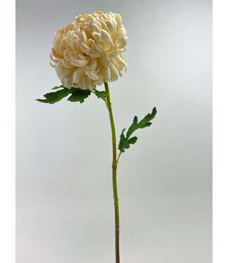 Silk Flowers by JJ chrysant | cream | 63 centimeter | Per stuk