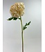 chrysant | cream | 63 centimeter | Per stuk te bestellen