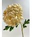 chrysant | cream | 63 centimeter | Per stuk te bestellen