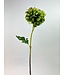 Groene chrysant zijden bloem | Lengte  63 centimeter | Per stuk te bestellen