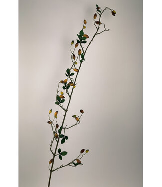 Silk Flowers by JJ rozenbottel | geel | 160 centimeter | Per stuk