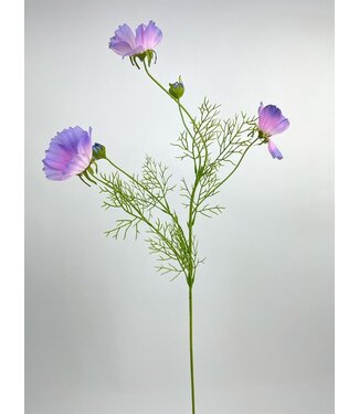 Silk Flowers by JJ cosmea | paars | 90 centimeter | Per stuk