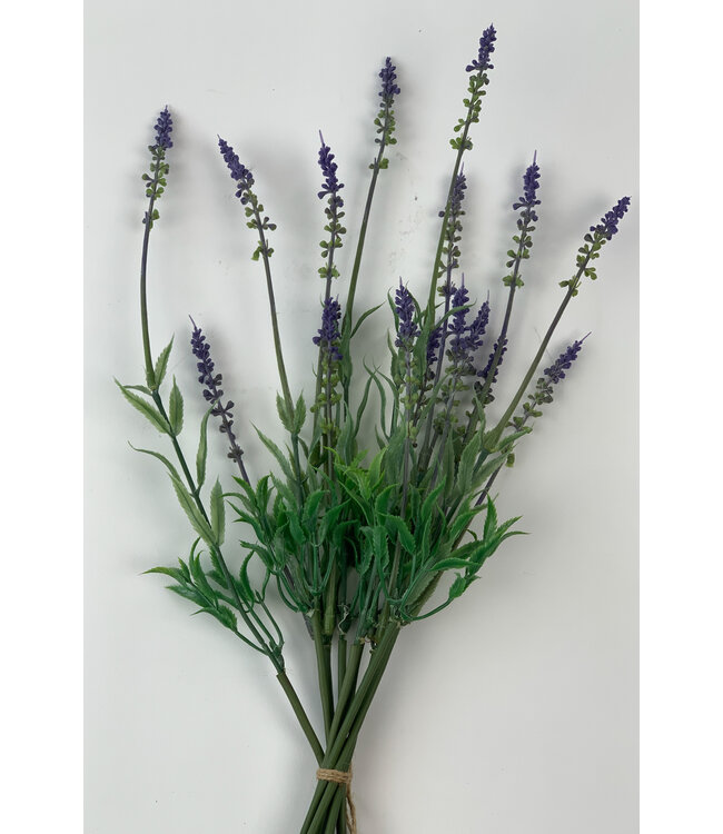 lavendel | blauw | 50 centimeter | Per stuk te bestellen