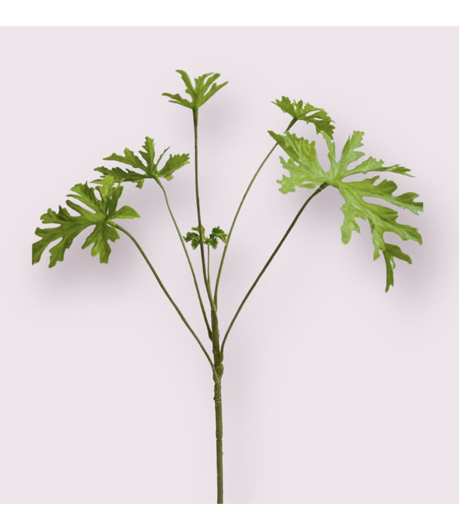 geranium blad | groen | 61 centimeter | Per stuk te bestellen