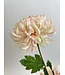 chrysant | roze | 60 centimeter | Per stuk te bestellen