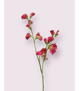 Silk Flowers by JJ lathyrus | roze | 64 centimeter | Per stuk