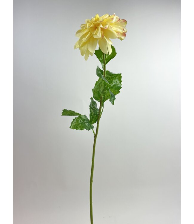 dahlia | geel | 79 centimeter | Per stuk te bestellen