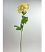 dahlia | geel | 79 centimeter | Per stuk te bestellen