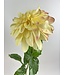 dahlia | geel | 79 centimeter | Per stuk te bestellen