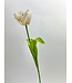 Witte tulp zijden bloem | Lengte 53 centimeter | Per stuk te bestellen