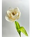 tulp | wit | 53 centimeter | Per stuk te bestellen