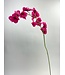 orchidee | roze | 90 centimeter | Per stuk te bestellen