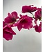 orchidee | roze | 90 centimeter | Per stuk te bestellen